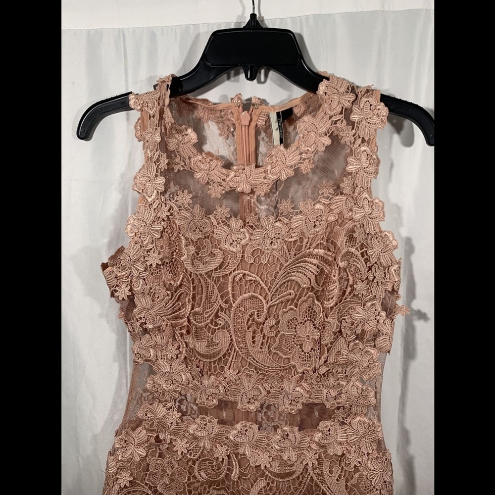 NEW $190 Topshop Scallop Lace Dress in Rose Pink - Picture 7 of 12